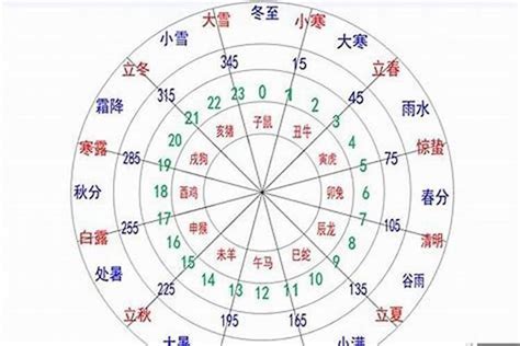 乙巳日主|八字乙巳日柱的人好不好？乙巳日柱男女命理解析